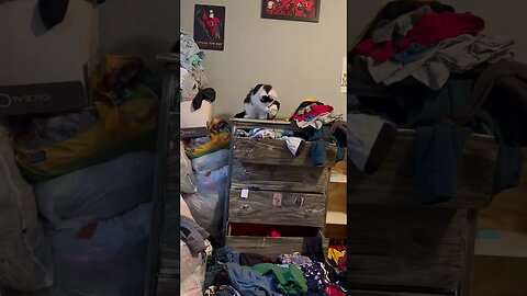 Cat Burglar Emptying Dresser Drawers