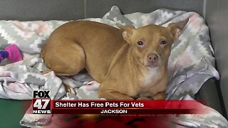 Jackson's animal shelter offering pets for vets