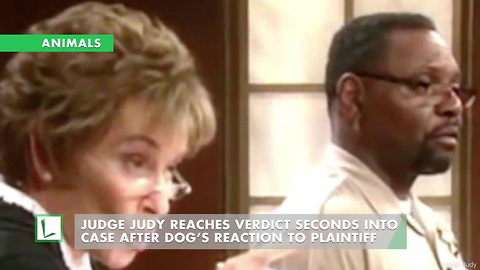 Judge Judy Reaches Verdict Seconds into Case after Dog’s Reaction to Plaintiff