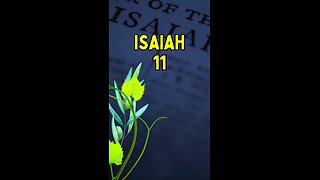 Isaiah 11 and Jesus