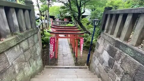 Urban Shrine/Temple in Ueno Tokyo #japan #summer #cicada