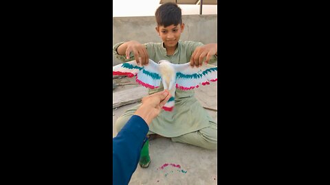 Pakistani boy talent