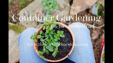 Container Gardening on Our Homestead