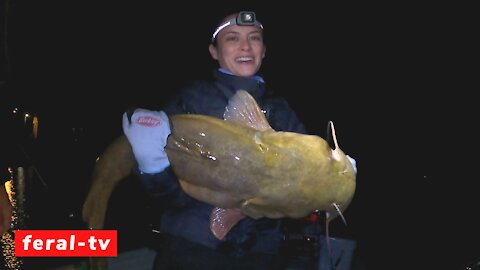 Flathead Revenge! (New PB!)