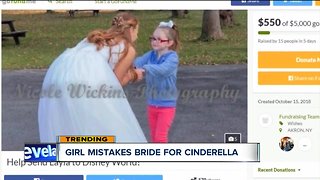 Bride mistaken for Cinderella