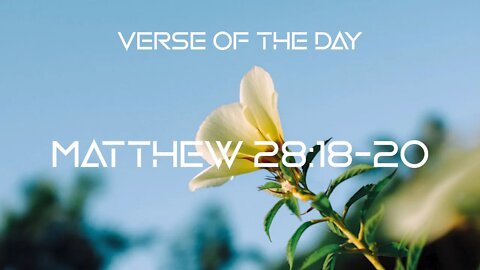 September 6, 2022 - Matthew 28:18-20 // Verse of the Day