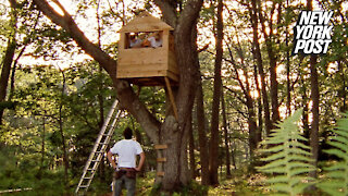 Dad writes note to 'Karen' who forced him to tear down kids' treehouse