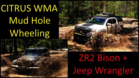 Citrus WMA - Mud Hole Wheeling w/ AEV ZR2 Bison and Jeep Wrangler - 20210612