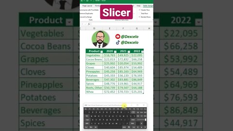 Slicer in Excel excel #تعليم #microsoft #اكسل #microsoftexcel #office #data #datascience