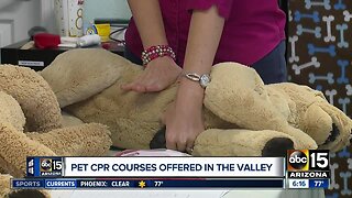 Do you know animal CPR? Course could save your pet's life