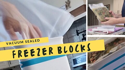 Freezer Blocks Meets Vacuum Sealer