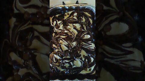 Dark Chocolate Brownies with Cream Cheese Swirls and Chocolate Chips!