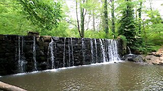 Waterfall at Cedarock Park