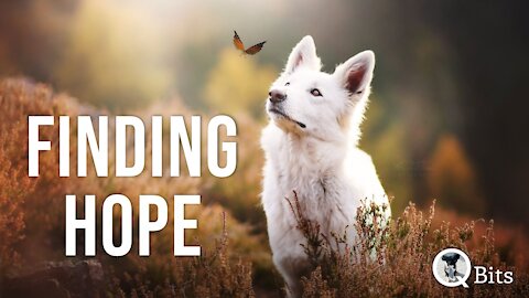 #472 // FINDING HOPE - Live