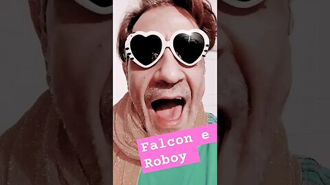 Falcon Roboy