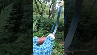 80LBS Paragon Raider Bow Close Target Through the Trees #archery