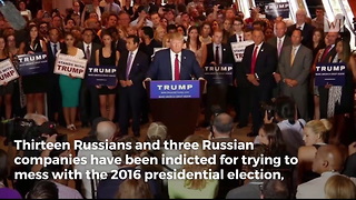 Author Bombshell: Media Meddled in Election More Than Russia