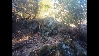 Rock Outcrop Along the Stevens Canyon Trail