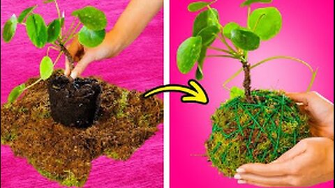 🌱 Unexpected Plant Growing And Gardening Hacks Everyone Can Try