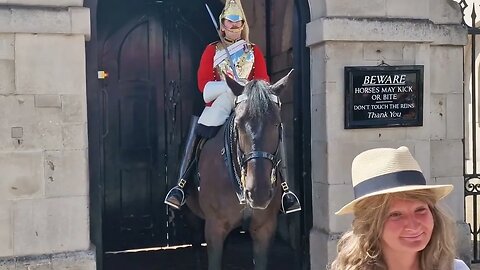 she was a bit 🍺 🥴 #horseguardsparade