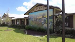 Big Dog Ranch Rescue founder says Trump article hurting donations