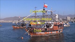 Coquimbo Catamaran Mistral Boat Tour, Chile