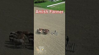 Amish Farmer