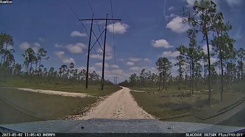 Just a little cruise in the weeds