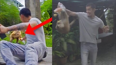 I Got Robbed by a Monkey in Thailand | SNEAKO Vlog