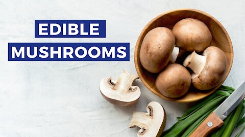 Edible Mushrooms