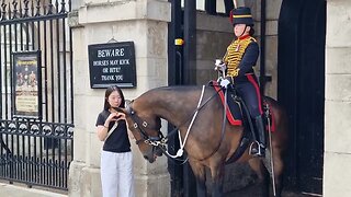 Tourist shows the horse some love #horseguardsparade