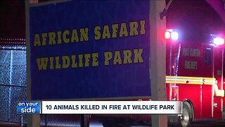 Animals at African Safari Wildlife Park die in fire