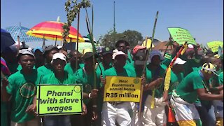 SOUTH AFRICA - Johannesburg - AMCU march (Video) (yDm)