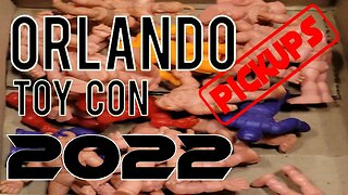 Orlando Toy Con 2022 with pickups