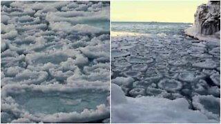 Pancakes di ghiaccio si formano in un lago americano