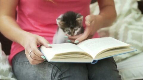 Girl holding kitty on her knees and reading book