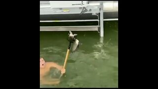 JUMPING Spear Fishing With a Pitchfork