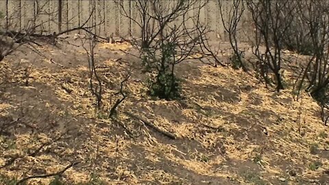 CDOT spreading mulch on part of Glenwood Canyon burn area