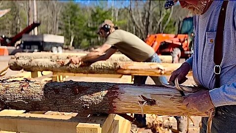 Peeled posts and lap siding