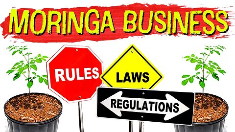 How To Start Your Moringa Business