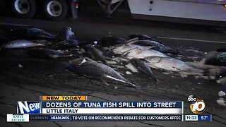 Tuna spills onto Little Italy street
