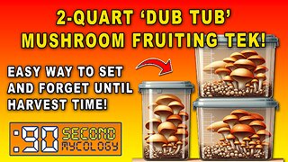 Modified 2-quart 'Dub Tub' Mushroom Fruiting Technique \\ EASY FRUITS!