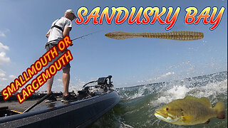 Sandusky Bay Lake Erie Bass Fishing for Smallmouth and Largemouth