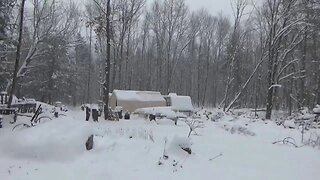 Heavy Snow At The Off Grid Homestead Digging Out