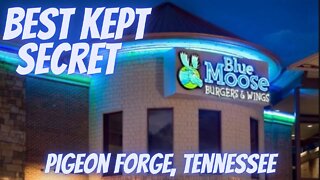 Blue Moose Burgers and Wings Pigeon Forge Tennessee