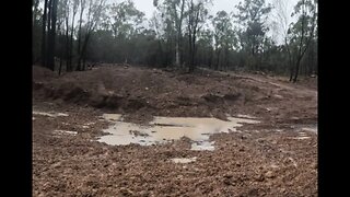 Nice Rainy Day #rain #bush #offgridhomestead #farming #farm #offgrid #dog #watertank