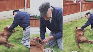 90-year-old Neighbor Comes To Say Goodbyes To Dog On Its Final Days