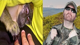 ASMR Monkey Grooming Relaxing Primate Instincts (ASMRTAR) REACTION!!! (BBT)