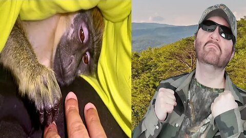 ASMR Monkey Grooming Relaxing Primate Instincts (ASMRTAR) REACTION!!! (BBT)