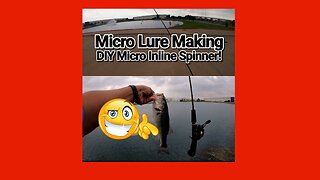 Little DIY Micro Inline Spinner worked on Bass and Bluegill!